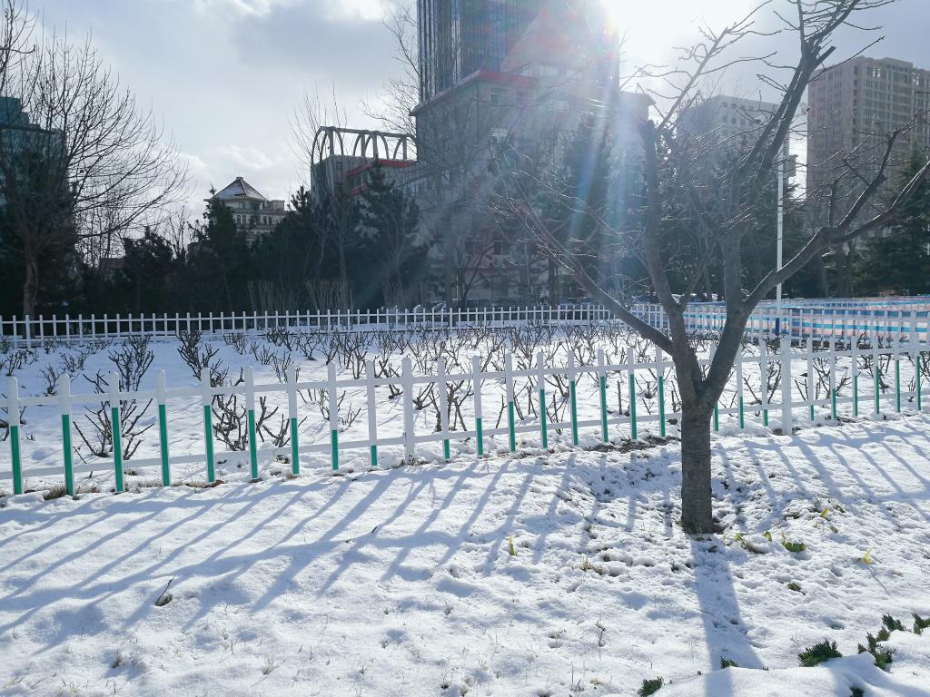 雪景